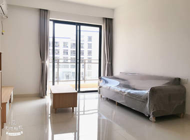 坪山燕子公馆 1室1厅1卫