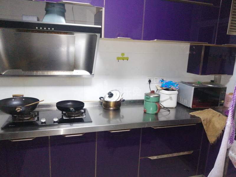 金桥一景丽苑西区7865757厨房图10