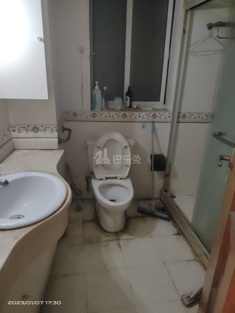 锦鸿公寓7894020卫生间图8