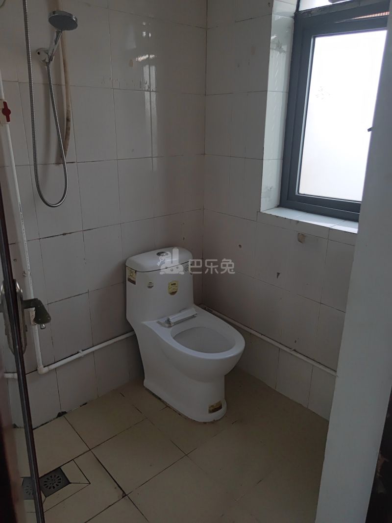 南油后海B区31栋7919405卫生间图6