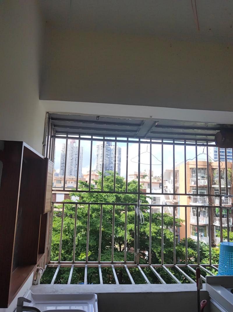 南油后海B区31栋7919405卧室窗户图8