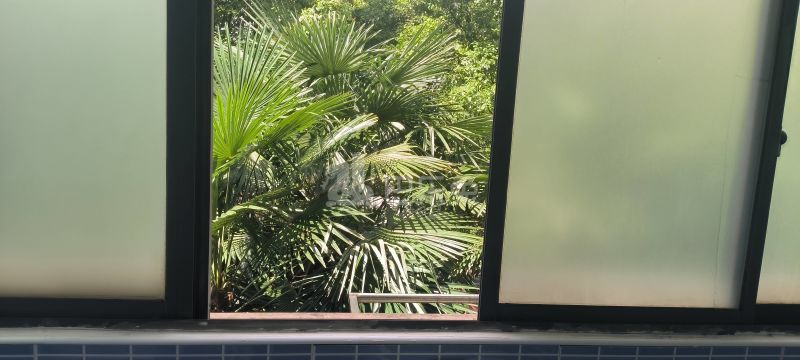 金桥新城金舍苑7938504卧室窗户图8