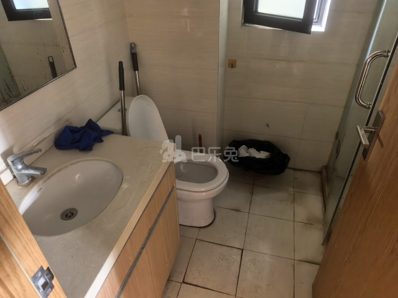 万立城（瑞立华庭）7965651卫生间图10