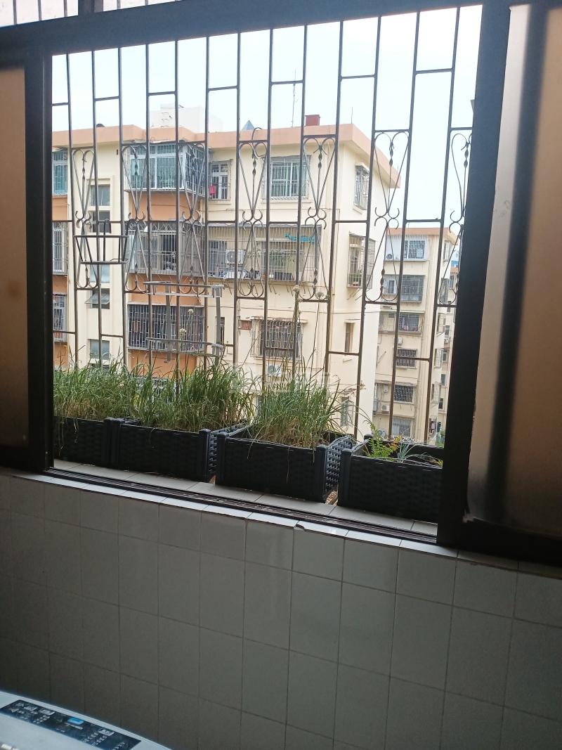 滨海苑8076463卧室图2