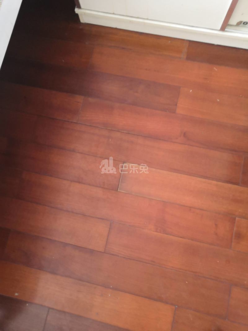 上海院子8077738客厅图5