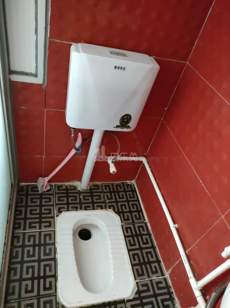 松坪山科苑新区8133877卫生间图5