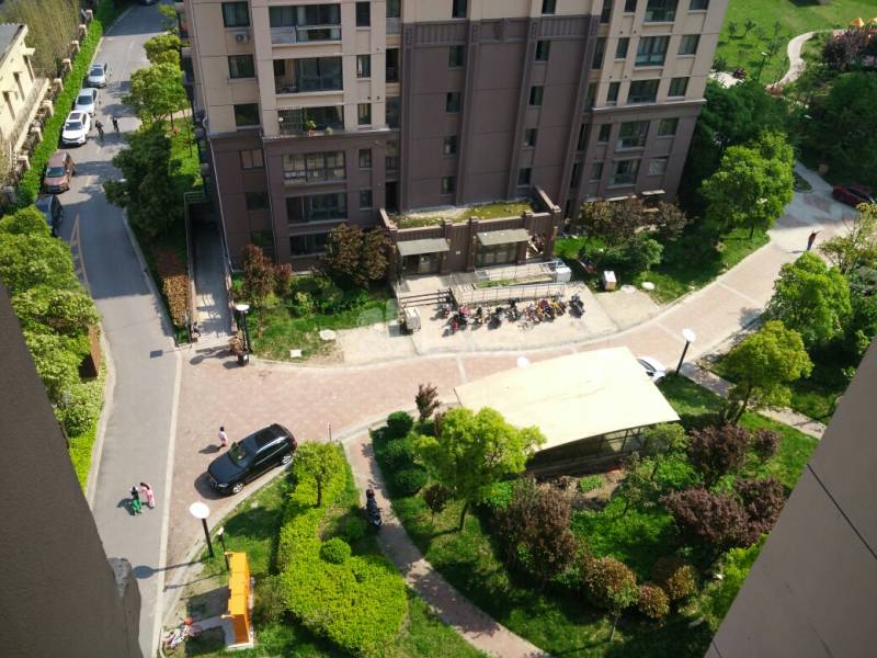 高杨佳苑4961275周边环境图10