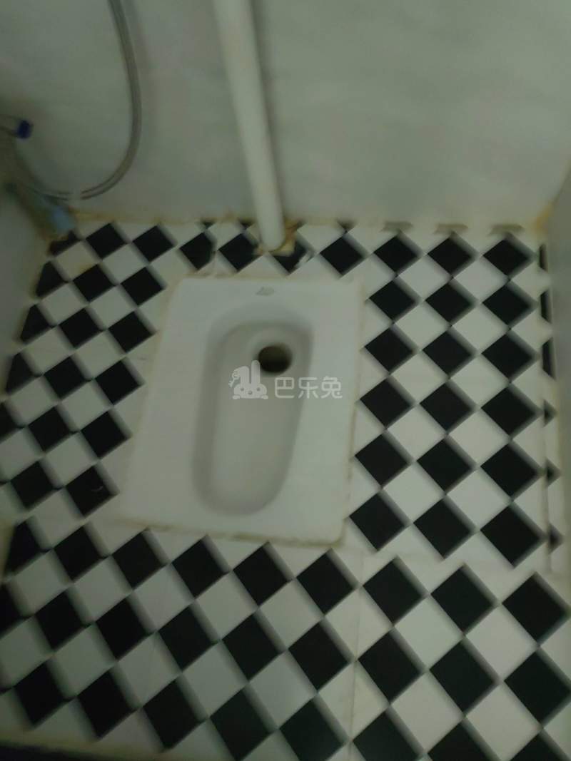 深圳湾花园8297129卫生间图4