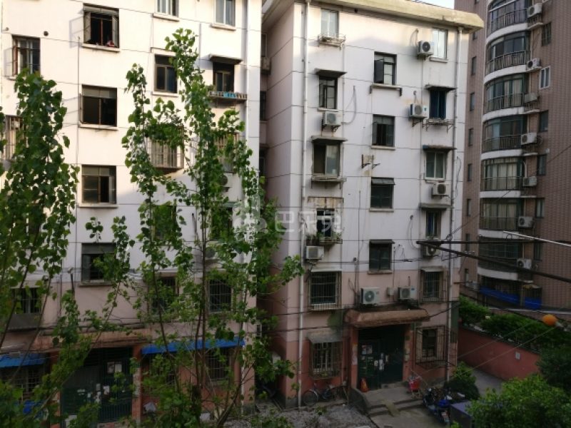 通河四村91252周边环境图8