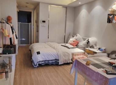 天玺国际广场 1室1厅1卫