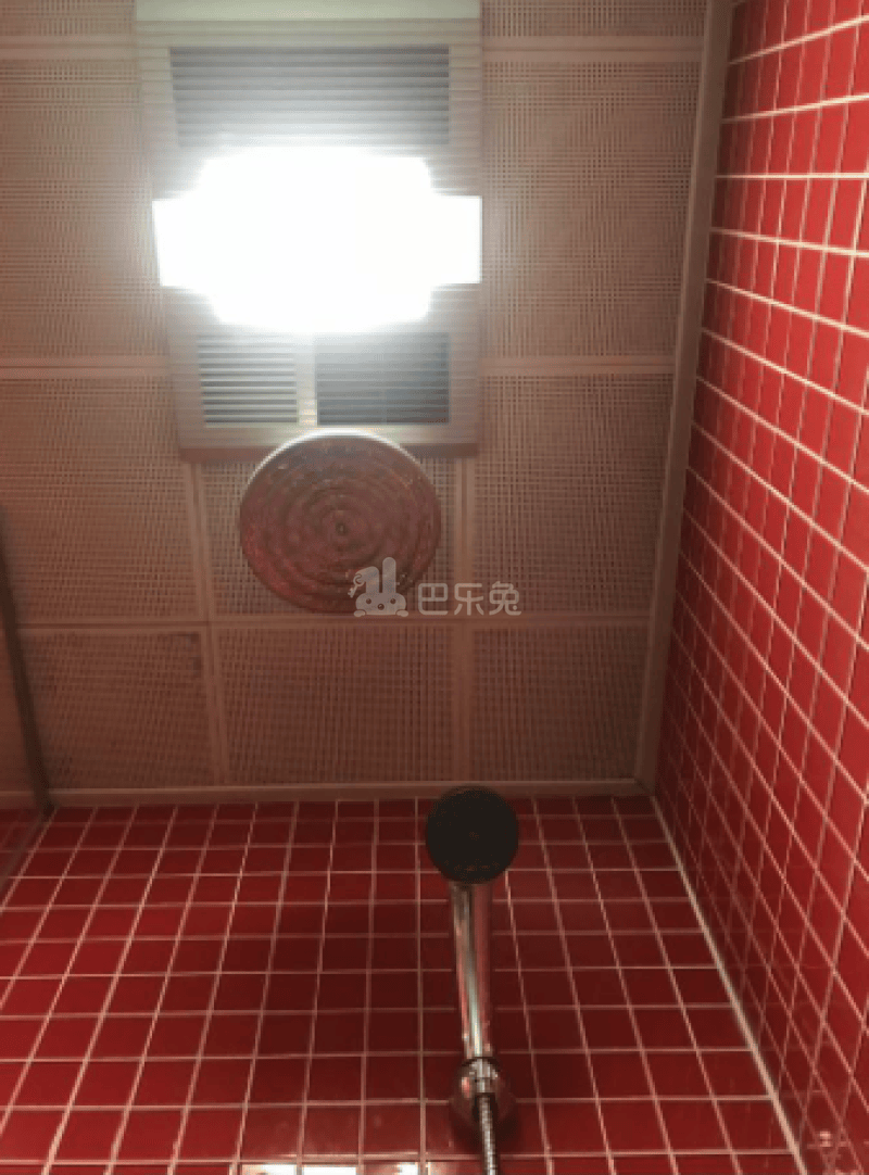 木马公寓8450494客厅图5