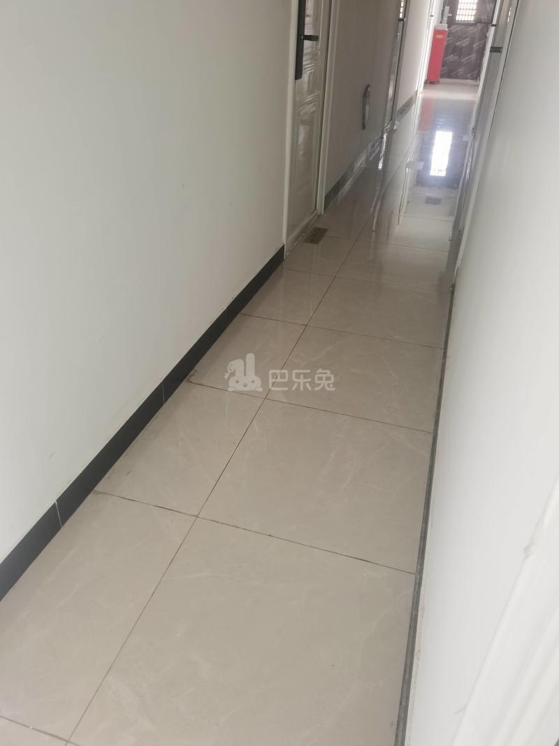 蒋桥村（民房）8475701周边环境图6