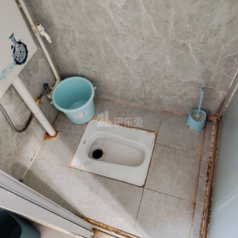 大新水产宿舍楼8488147卫生间图6