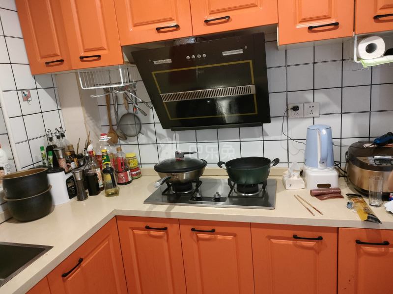 新月鸿锦苑2期东区（新月鸿瑞园）8505634厨房图10