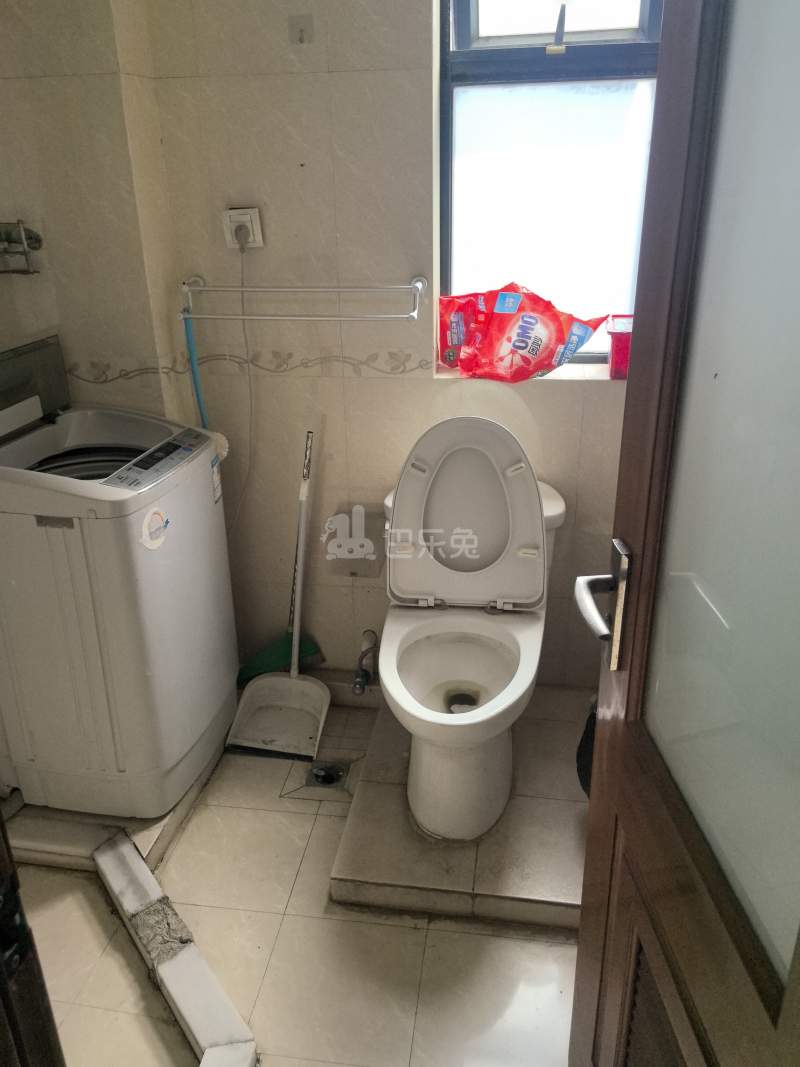 华谊星城名苑6095096卫生间图5