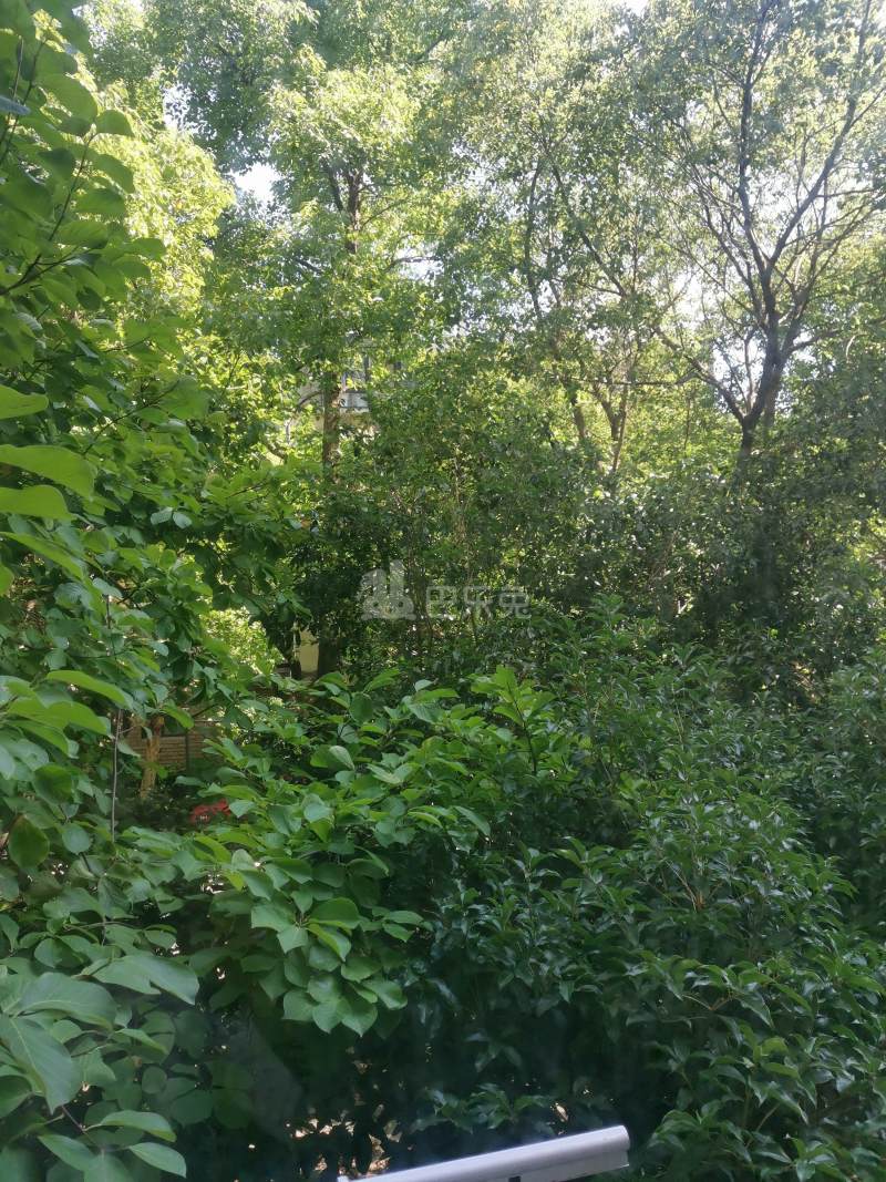 证大家园一期8534419周边环境图10