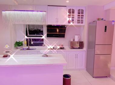 中央金地广场 1室2厅2卫