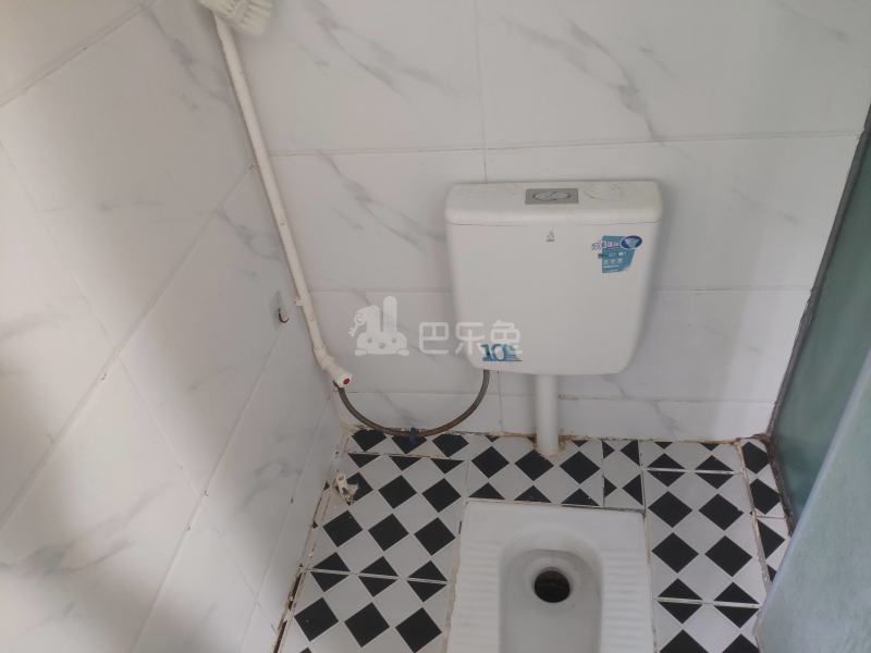 南油B区67栋8600326卫生间图4