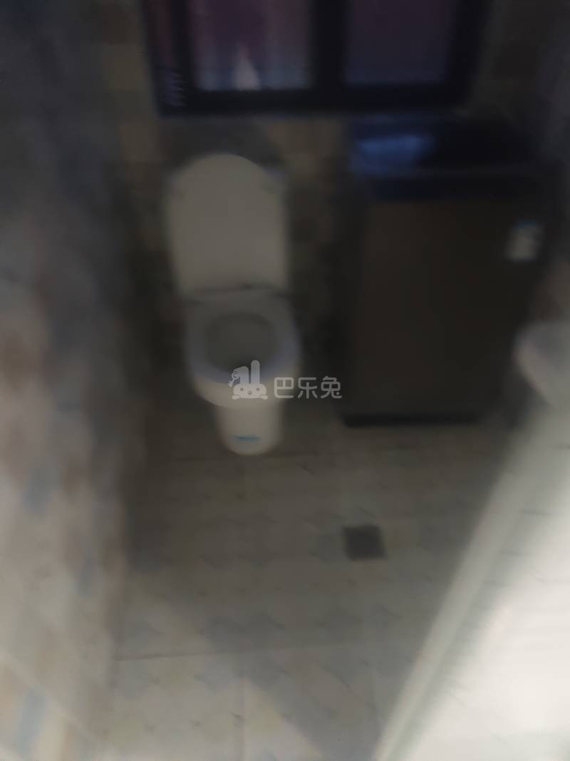 春雷村（民房）8632012卫生间图4