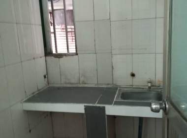 白石洲西二坊 1室0厅1卫