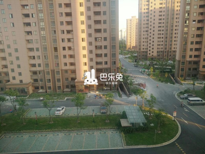 上海嘉定_蔷薇苑_1室0厅0卫_合租朝东北_红石路915弄1