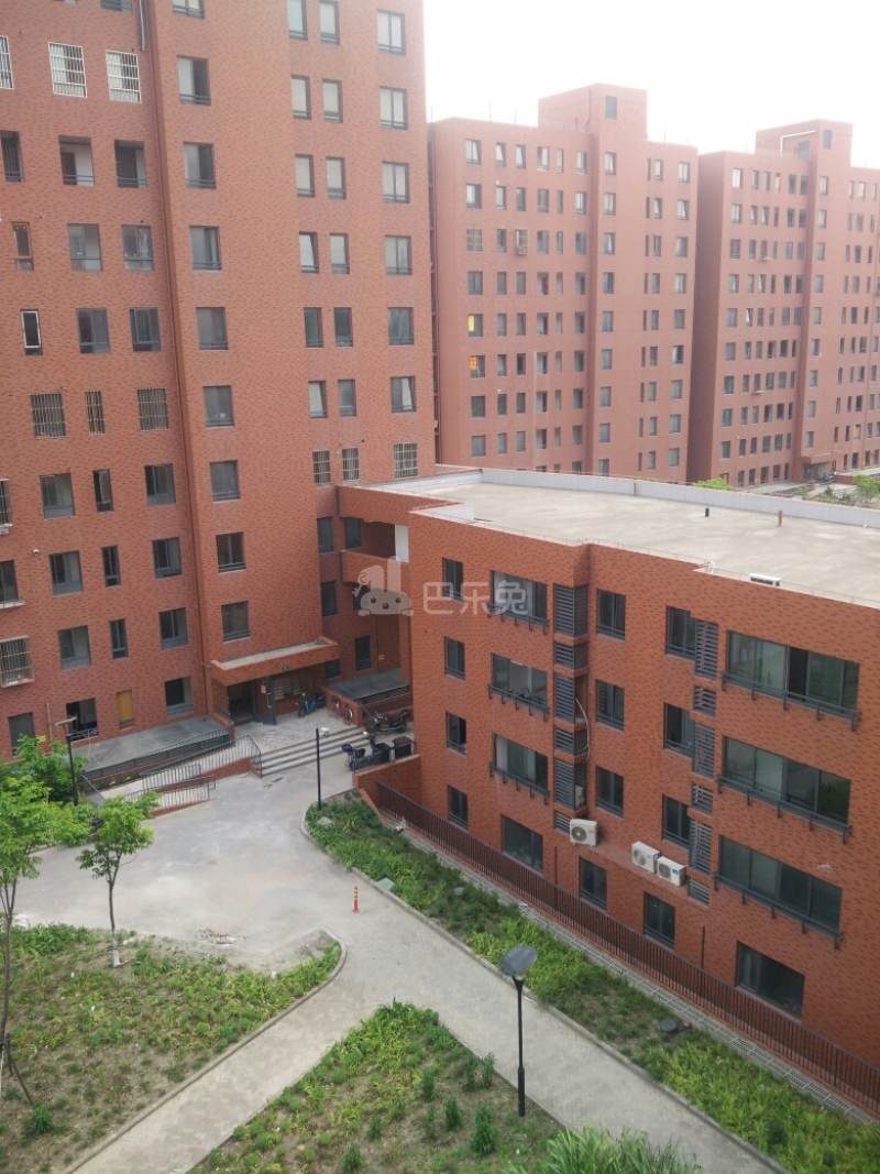 佘北家园银杏苑14703155周边环境图11