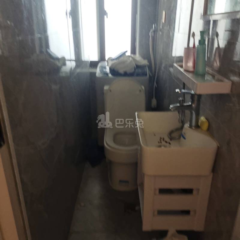 浦发东悦城8675566卫生间图8