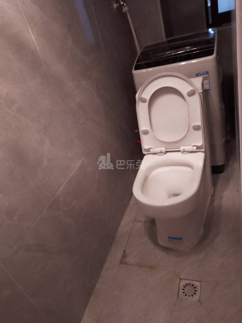 浦发东悦城8675566卫生间图11