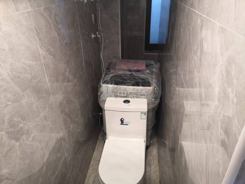 浦发东悦城8675566卫生间图12