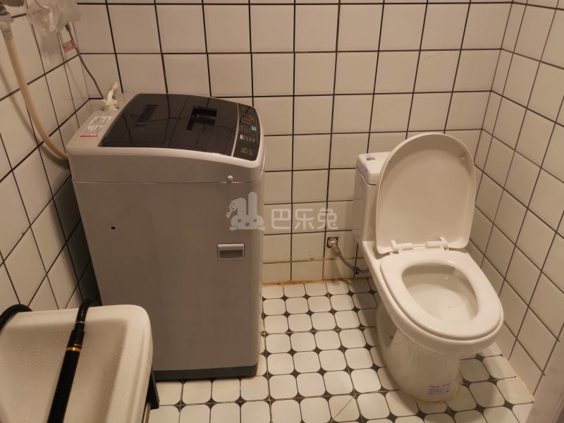 大华诺斐墅（大华锦绣华城17区）8697044卫生间图6