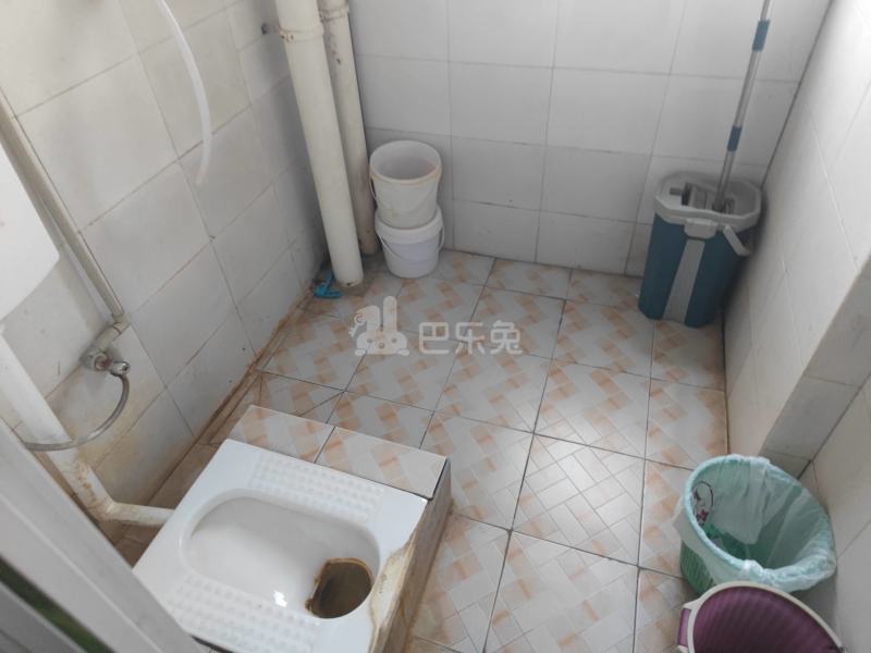 托乐嘉旺邻居8705812卫生间图4