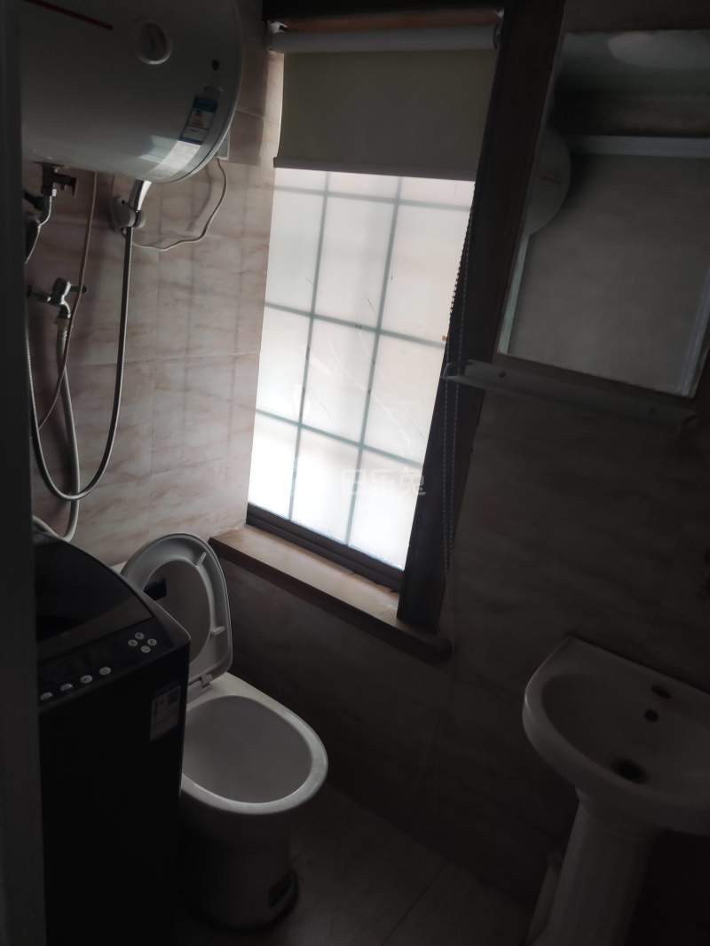 振新佳苑（预计26 年4月-6月拆迁）8728933卫生间图5