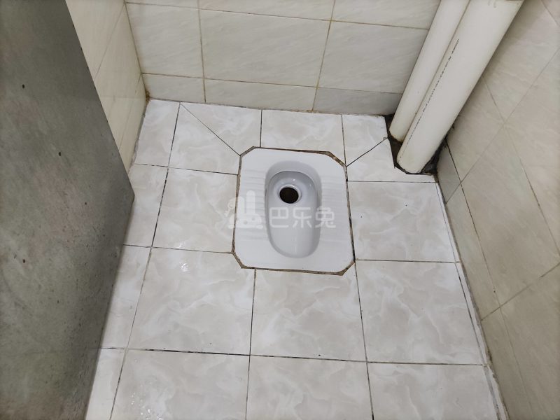 棠下东二街30号8769198卫生间图17