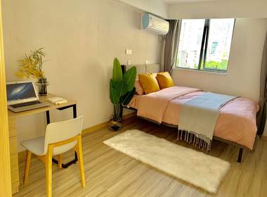 龙湖冠寓深圳南山地铁站店 1室0厅1卫