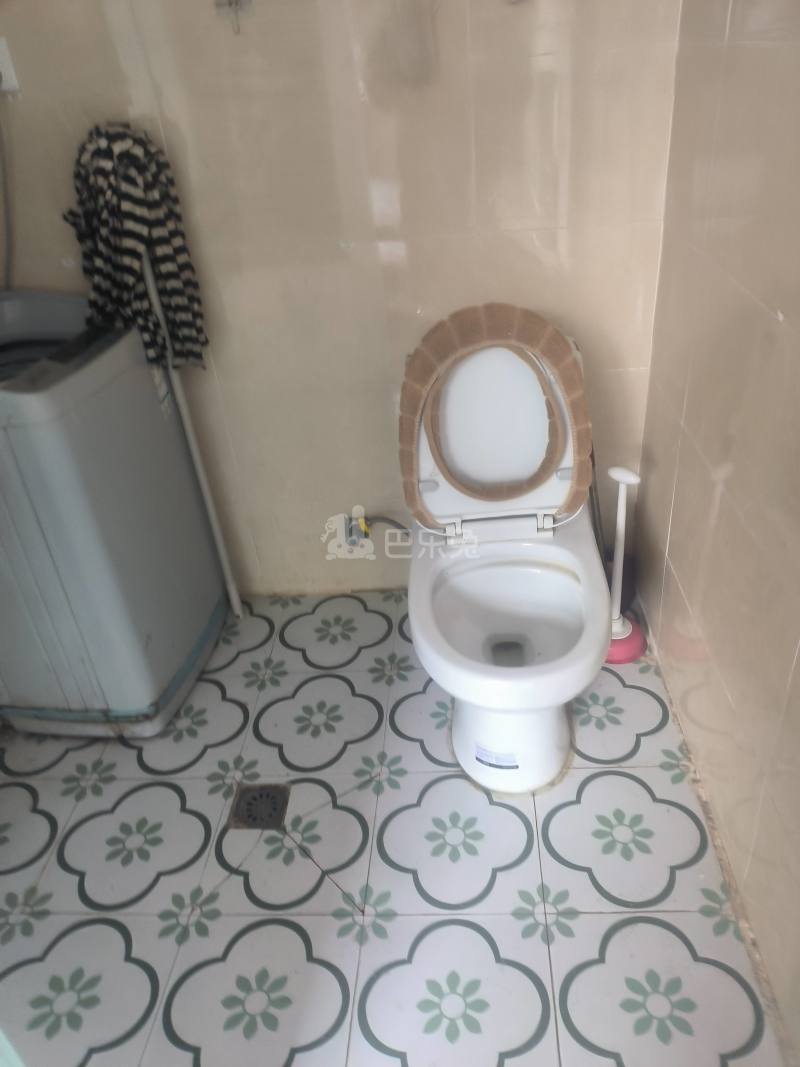 新卫村（民房）8859610卫生间图4