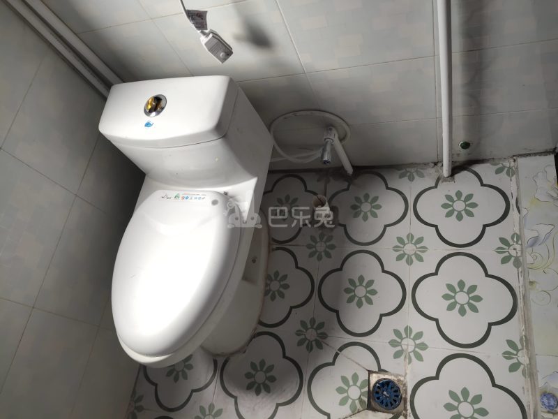 新卫村（民房）8859610卫生间图5