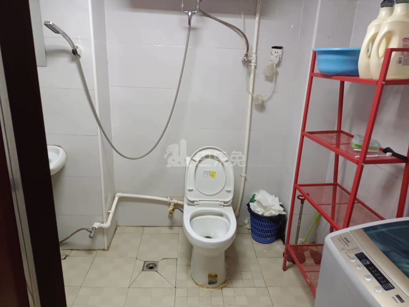 绿色丽园（大宁路667弄）13537927卫生间图11