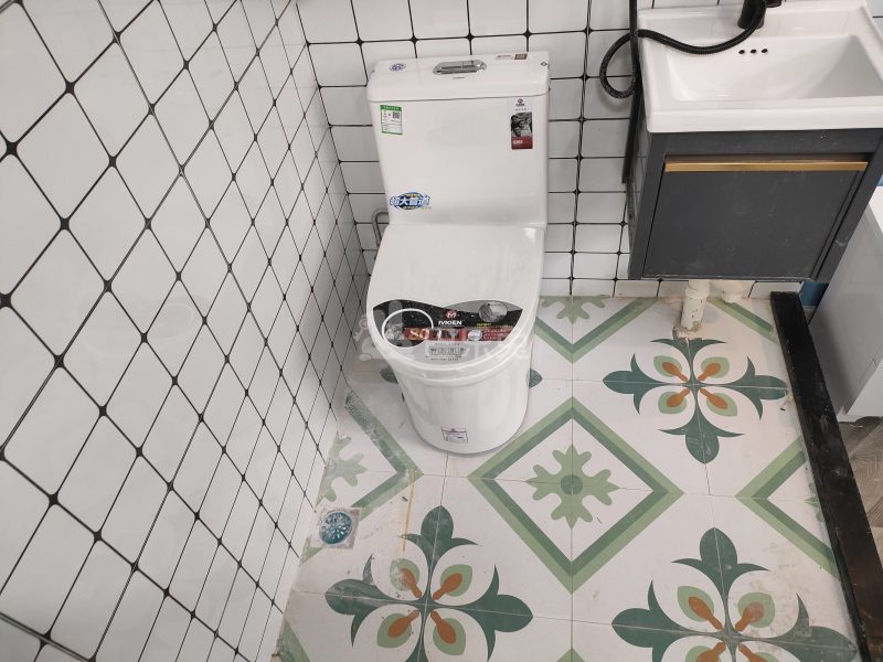 新虹园小区8966772卫生间图9