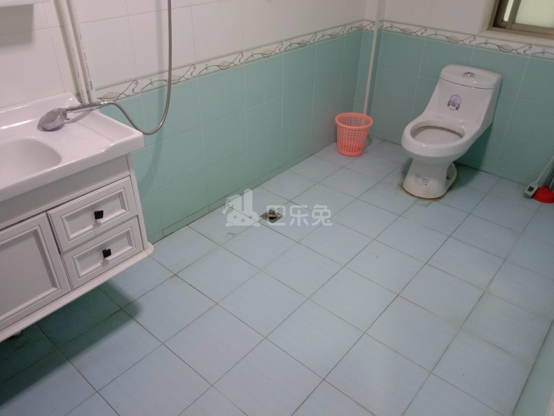 吴胜别墅11859682卫生间图5