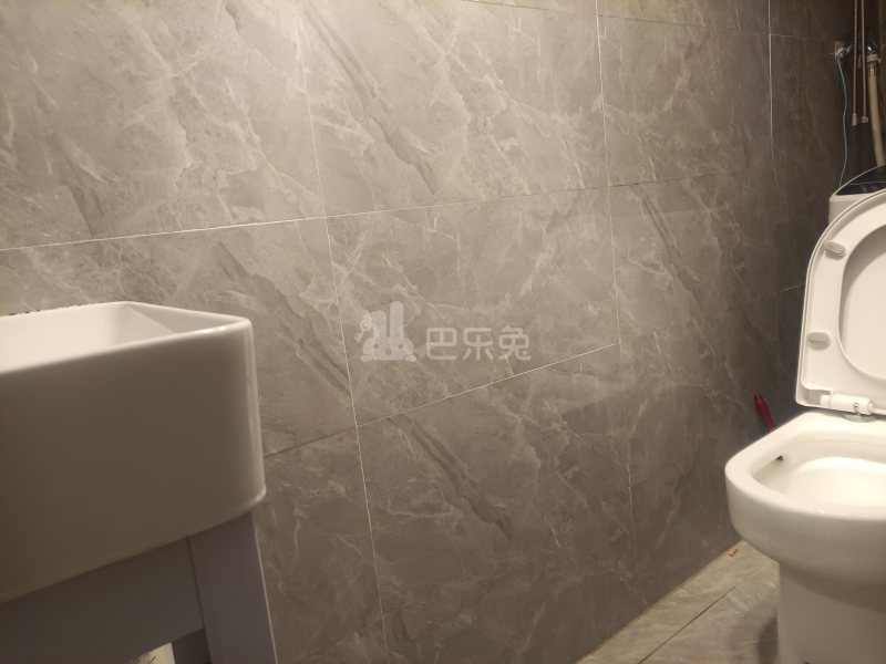 浦发东悦城9148160卫生间图5