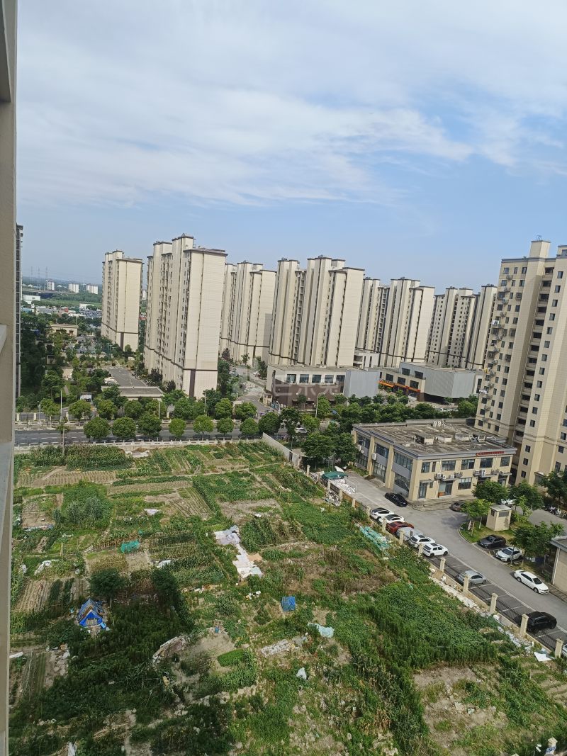 仁怡苑9179202周边环境图10