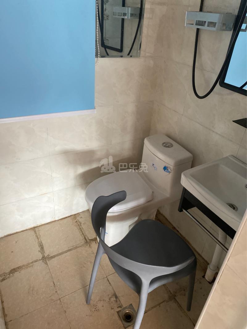 振新佳苑（预计26 年4月-6月拆迁）9199204卫生间图6