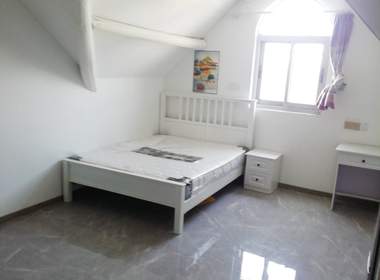 新场镇新南村（民房） 