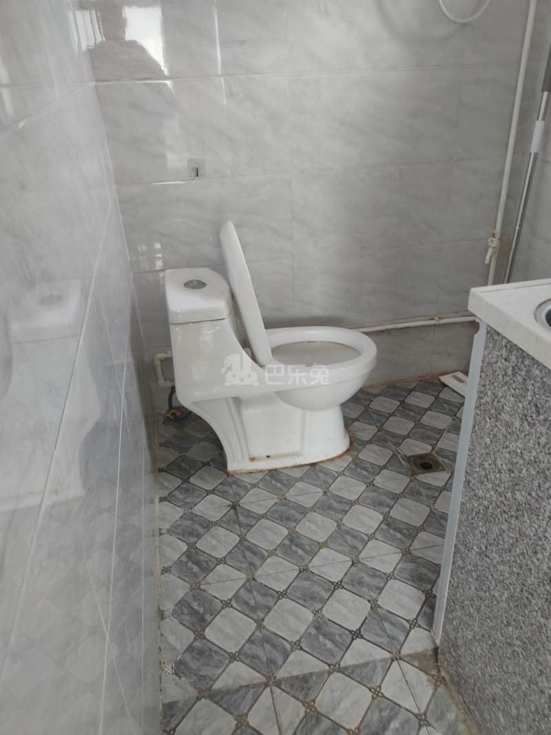 龙城新苑9244580卫生间图4