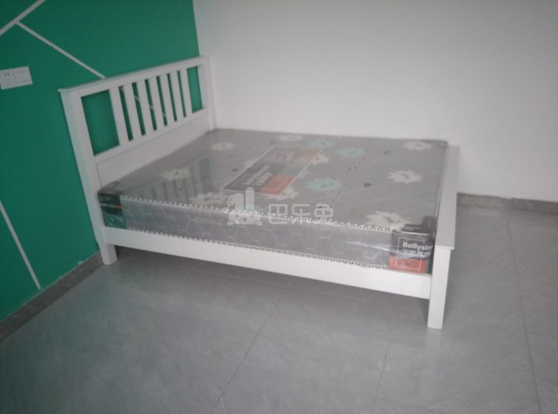 春雷村（民房）9330844卧室图0