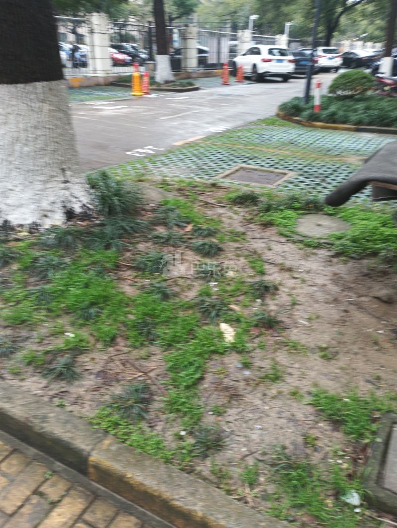 碧林湾南苑西区933742周边环境图7