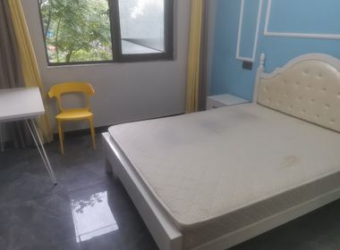 百林苑小区（浦三路5127弄） 