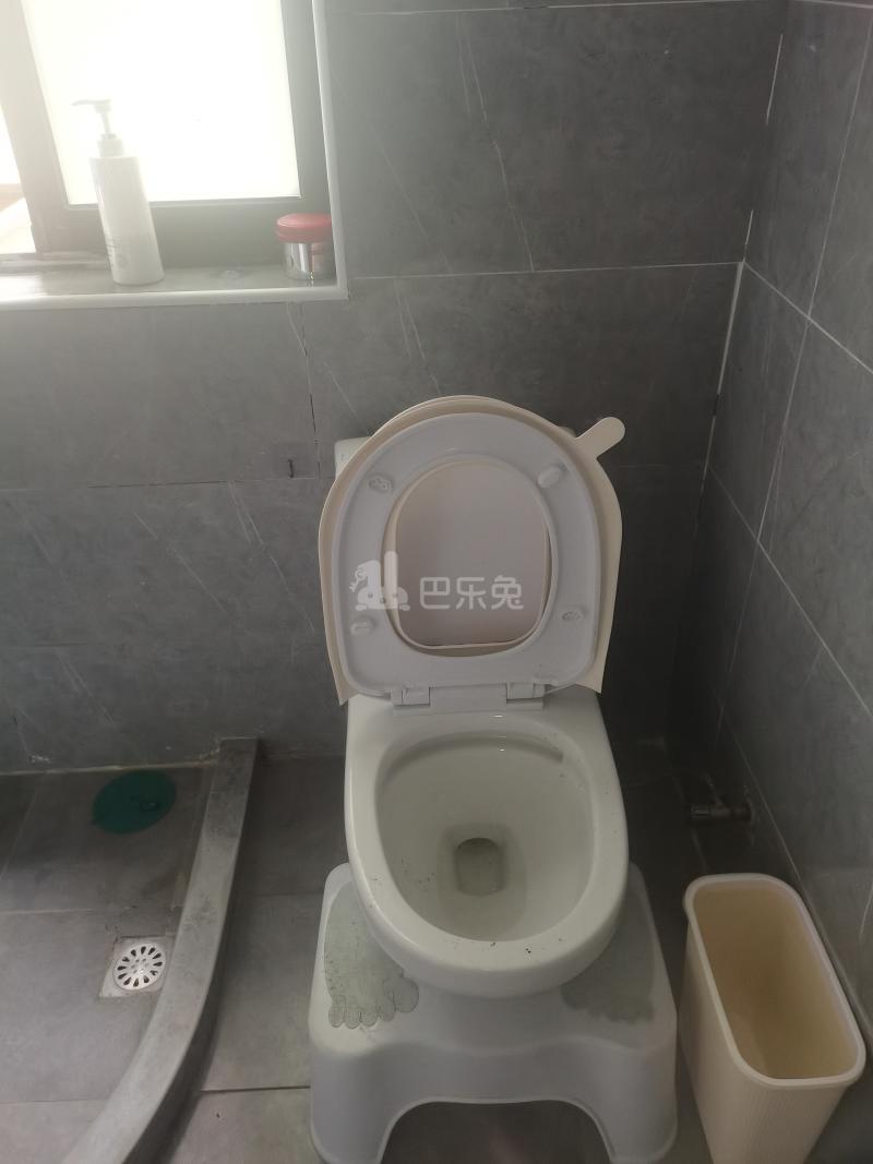 百林苑小区（浦三路5127弄）9354308卫生间图7