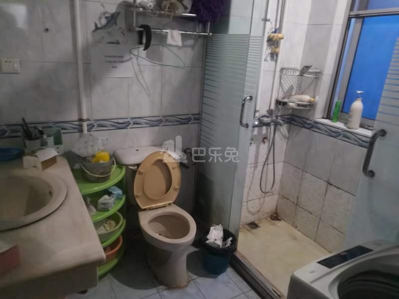 沈巷新村南区（月罗路307弄）9899531卫生间图18