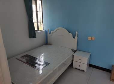 新场镇新南村（民房） 